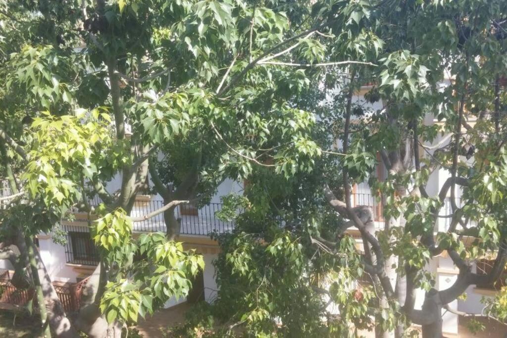 Apartamento Increible En Denia Urb El Patio Eksteriør bilde